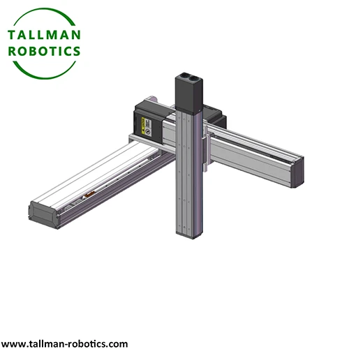 Cartesian Robot Module